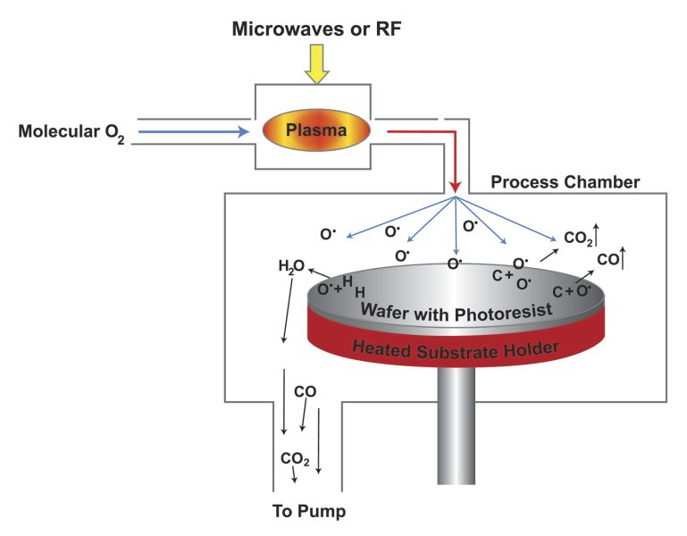 Components in a photoresist strip tool