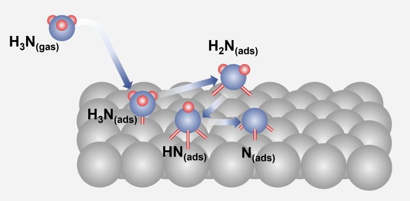 Decomposition of ammonia on a FCC metal surface