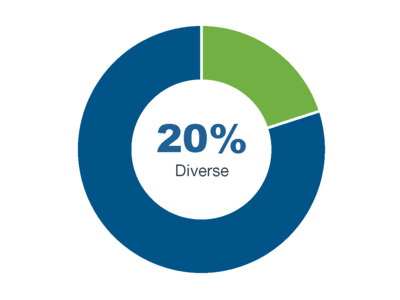 MKS Executive diversity graph